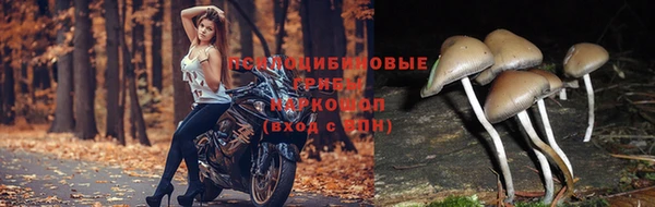COCAINE Балабаново